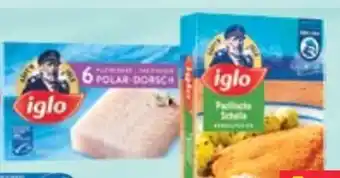 Maximarkt Iglo Polar-Dorsch Angebot