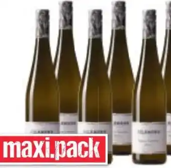 Maximarkt Weingut Kolkmann Grüner Veltliner Classic Wagram Angebot