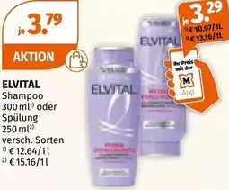 Müller Shampoo Angebot