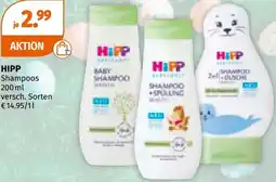 Müller Shampoos Angebot