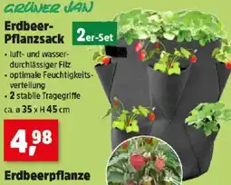 Thomas Philipps Erdbeer- Pflanzsack Angebot