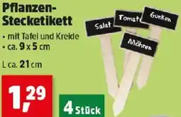 Thomas Philipps Pflanzen- Stecketikett Angebot