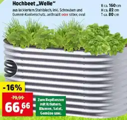 Thomas Philipps Hochbee Welle Angebot