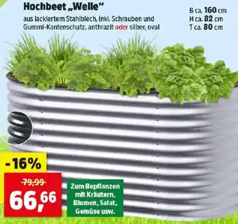 Thomas Philipps Hochbee Welle Angebot