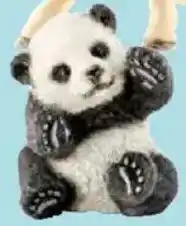 Thomas Philipps klein Panda Angebot