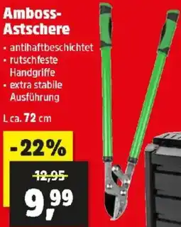 Thomas Philipps Amboss- Astschere Angebot