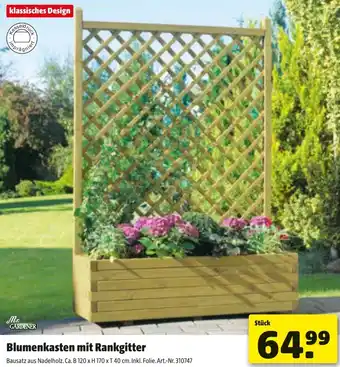 Liebmarkt Blumenkasten mit Rankgitter Angebot