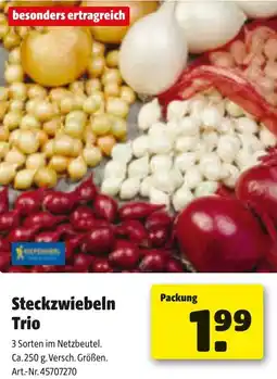 Liebmarkt Steckzwiebeln Trio Angebot