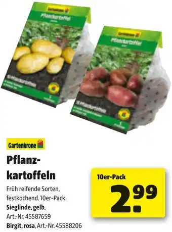 Liebmarkt Pflanz- kartoffeln Angebot