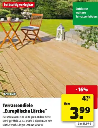 Liebmarkt Terrassendiele Europäische Lärche Angebot