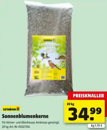 Liebmarkt Sonnenblumenkerne Angebot