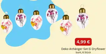 Depot Deko-Anhänger-Set Ei Dryflower Angebot