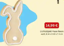 Depot Lichtobjekt Hase Angebot