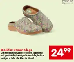 Interspar Damen-Clogs Angebot