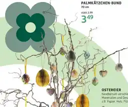 Bellaflora Palmkätzchen-bund Angebot