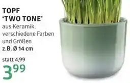 Bellaflora Topf Angebot