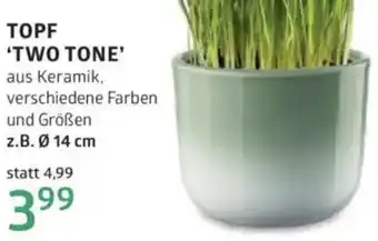 Bellaflora Topf Angebot