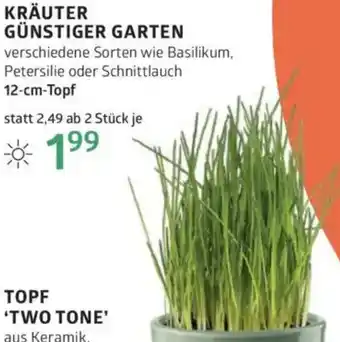 Bellaflora Günstiger garten Angebot