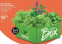 Bellaflora Bio kräuter bellaflora box Angebot