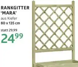 Bellaflora Rankgitter mara Angebot