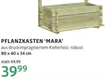 Bellaflora Pflanzkasten mara Angebot