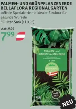 Bellaflora Palmen- und grünpflanzenerde Angebot