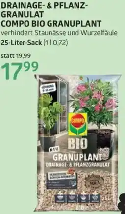 Bellaflora Drainage- & pflanz- granulat compo bio granuplant Angebot