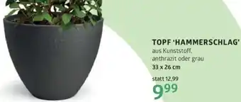 Bellaflora Topf hammerschlag Angebot