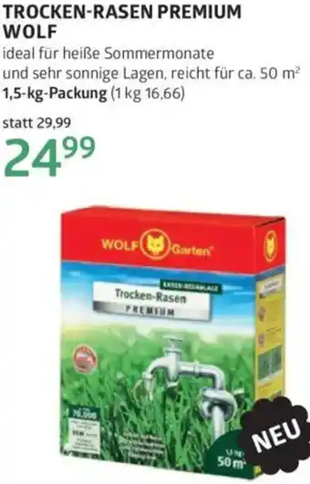 Bellaflora Trocken-rasen premium wolf Angebot