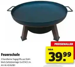 Hagebau Feuerschale Angebot
