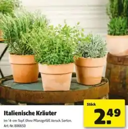 Hagebau Italienische Kräuter Angebot