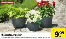 Hagebau Pflanzgefäß Palermo Angebot