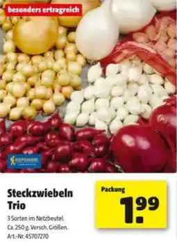 Hagebau Steckzwiebeln Trio Angebot