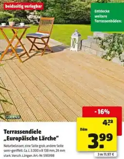 Hagebau Terrassendiele Europäische Lärche Angebot