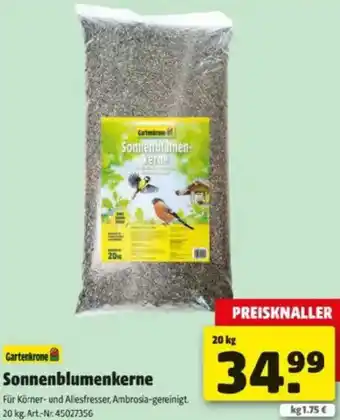 Hagebau Sonnenblumenkerne Angebot