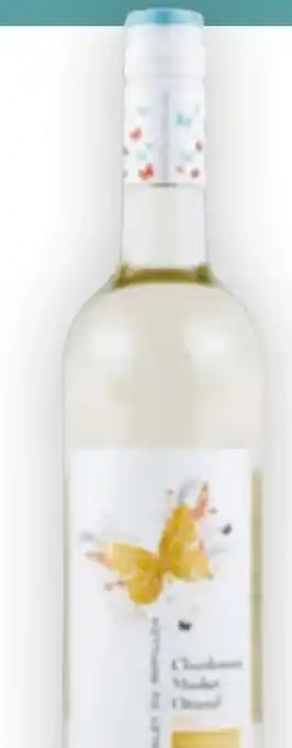 Billa Chalet du Papillon Grüner Veltliner Blush Angebot