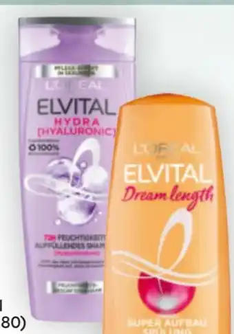 Billa L'Oréal Paris Elvital Shampoo Angebot
