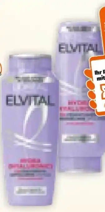 Müller L'Oréal Paris Elvital Shampoo Angebot
