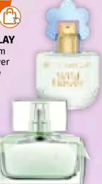 Müller Betty Barclay Tender Blossom EdT Angebot