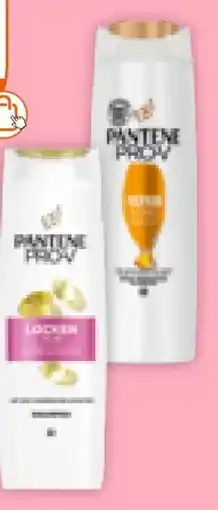 Müller Pantene Pro-V Shampoo Angebot