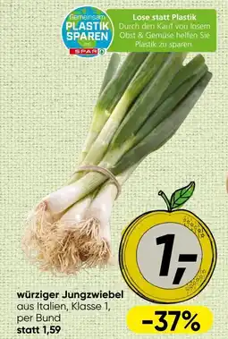 Spar Würziger jungzwiebel Angebot