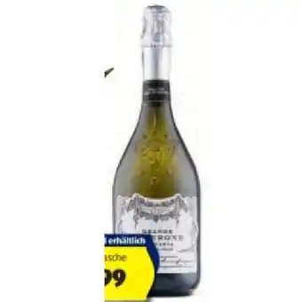 Hofer Malvasia HOFER Angebot