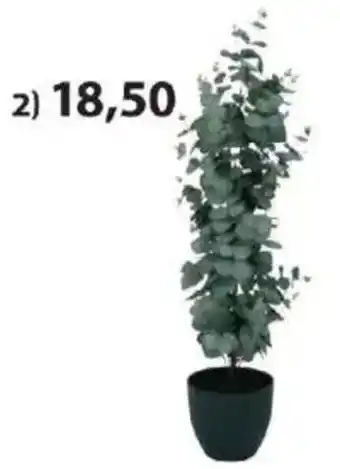 JYSK Kunstpflanze ripa Angebot