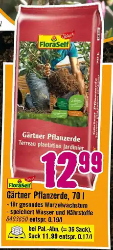 Hornbach Gärtner Pflanzerde Angebot