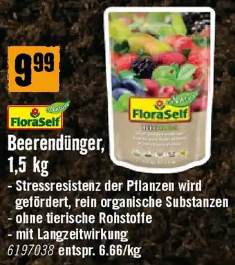 Hornbach Beerendünger Angebot