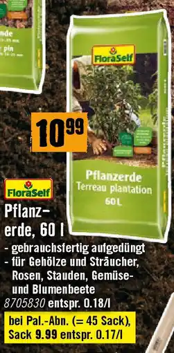 Hornbach Pflanzerde Angebot