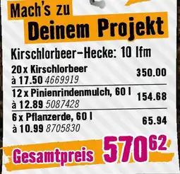 Hornbach Pflanzerde FloraSelf Angebot