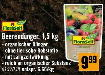 Hornbach Beerendünger Angebot