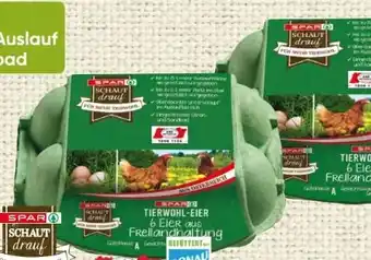 Spar Spar Schaut Drauf Tierwohl-Eier Angebot