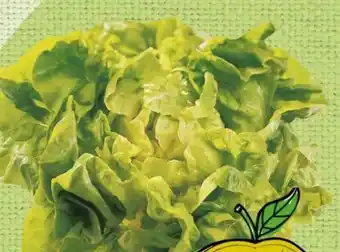 Spar Kopfsalat Angebot